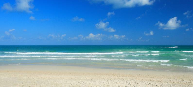 图书馆酒店(The Library)图片