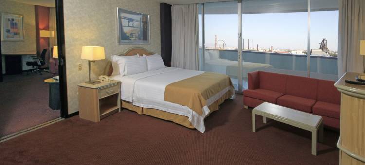 方迪多拉蒙特雷公园假日酒店(Holiday Inn Monterrey-Parque Fundidora)图片