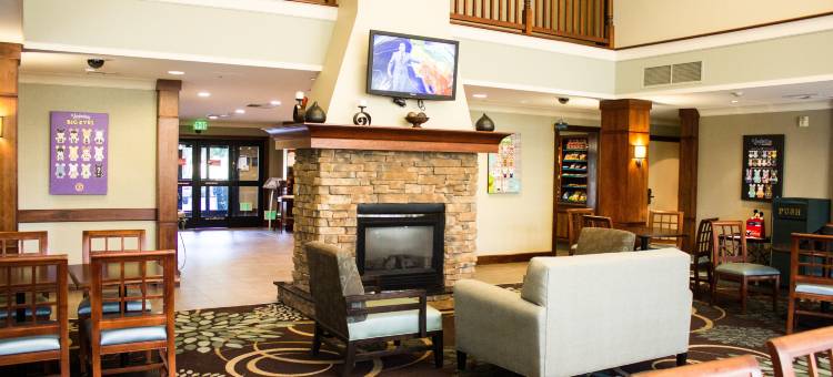 索内斯塔ES套房-阿纳海姆度假区酒店(Sonesta ES Suites Anaheim Resort Area)图片