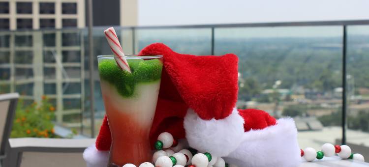 奥斯汀市中心威斯汀酒店(The Westin Austin Downtown)图片