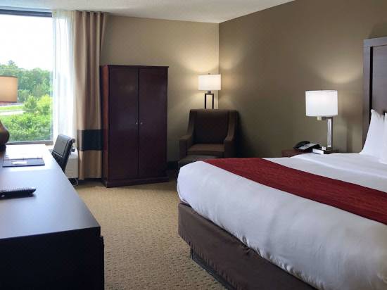 Comfort Inn Suites Durham Near Duke University Hotel Reviews