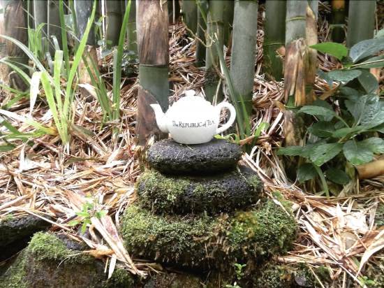 Volcano Teapot Cottage Hotel Reviews And Room Rates Trip Com