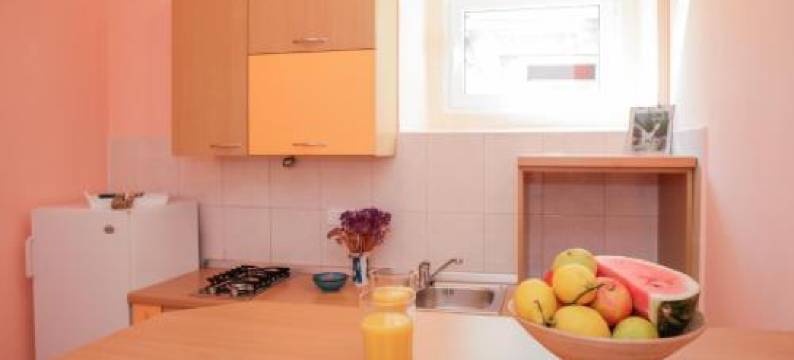 Apartment Mihovil 308图片