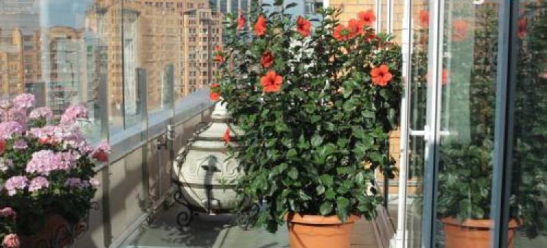 阿斯特里酒店(Hotel Asteri)图片