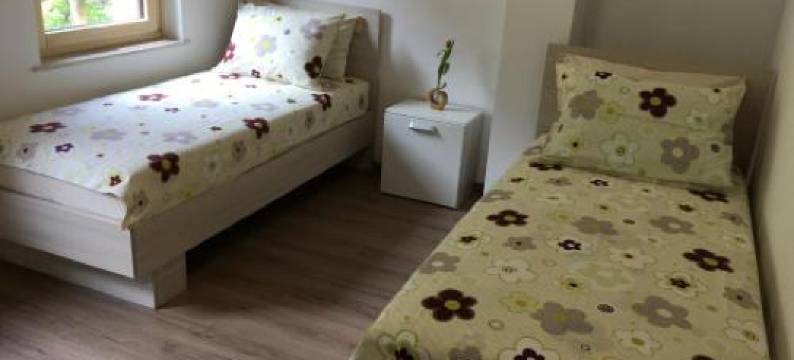 Apartment Lapanja图片