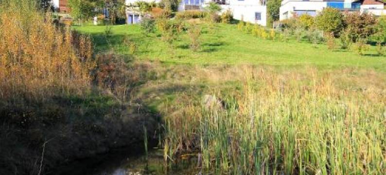 卡林西亚度假屋(Villa Carinthia by Interhome)图片