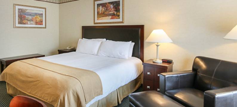 新希望套房酒店(New Hope Inn & Suites)图片