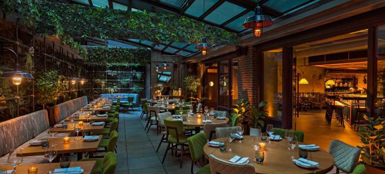 纽约市东村 Moxy 酒店(Moxy NYC East Village)图片