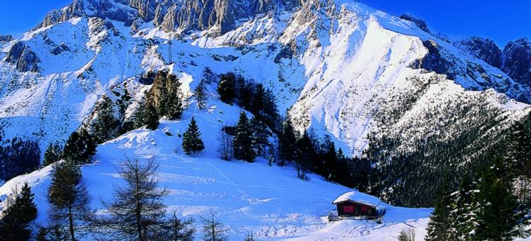 米兰阿尔彭度假会议及Spa酒店(Hotel Milano Alpen Resort Meeting&Spa)图片