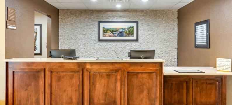 舒适酒店德卡尔布 - 大学区(Comfort Inn DeKalb - Adjacent the University)图片