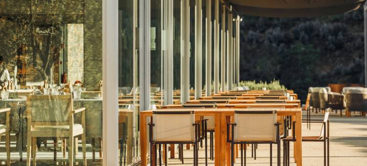 斗罗 41 号酒店及水疗 - 奥克坦斗罗(Octant Douro)图片