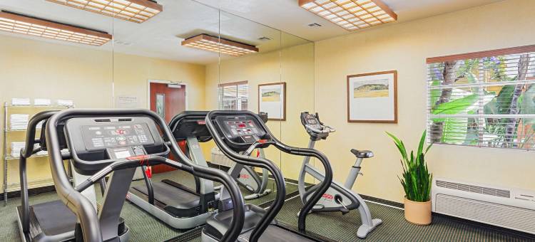 阿纳海姆克莱门汀套房酒店(Clementine Hotel & Suites Anaheim)图片