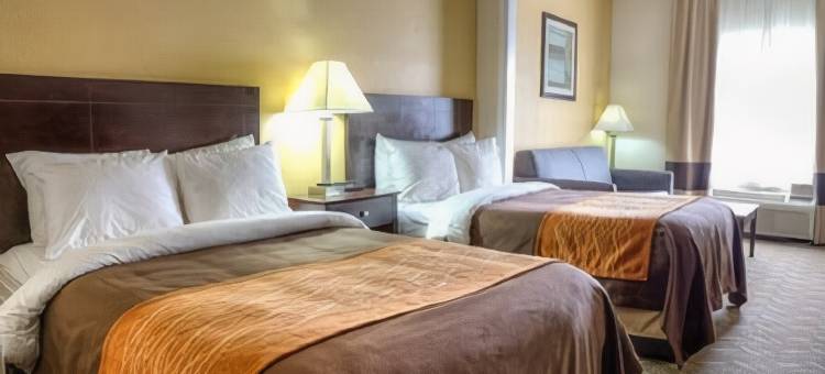 卡尔森、伯明翰 - 胡佛乡村酒店及套房(Sleep Inn & Suites)图片