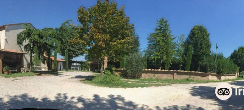 安吉丽娜农家乐(Agriturismo l'Angelina)图片