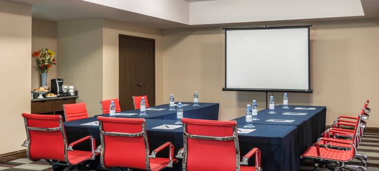 萨尔蒂洛福朋喜来登酒店(Four Points by Sheraton Saltillo)图片