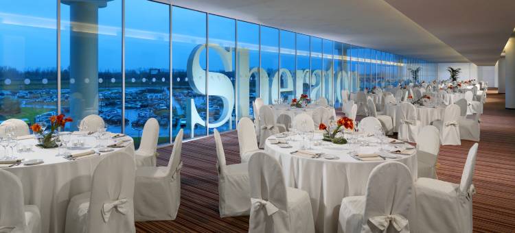 米兰马尔彭萨机场喜来登酒店及会议中心(Sheraton Milan Malpensa Airport Hotel & Conference Centre)图片