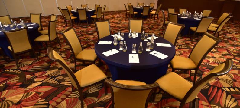 卡拉马 MDS 酒店(DoubleTree by Hilton Hotel Calama)图片