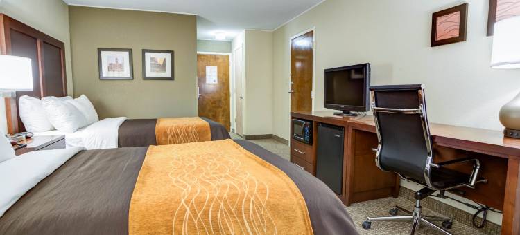 克莱门森舒适套房酒店-大学区(Comfort Inn & Suites Clemson - University Area)图片