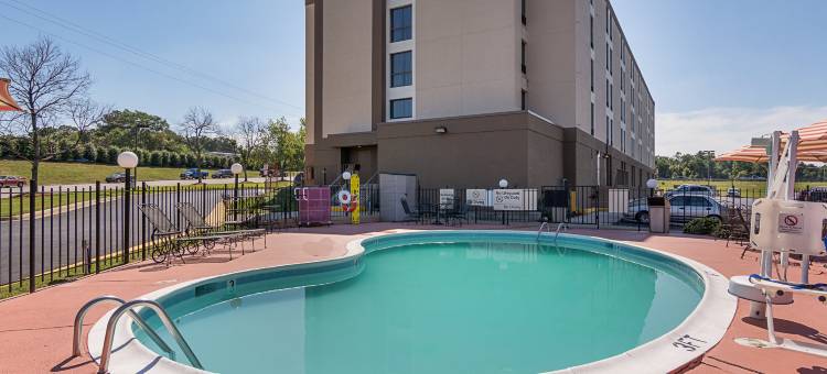 里士满南切斯特舒适酒店(Comfort Inn Chester - Richmond South)图片