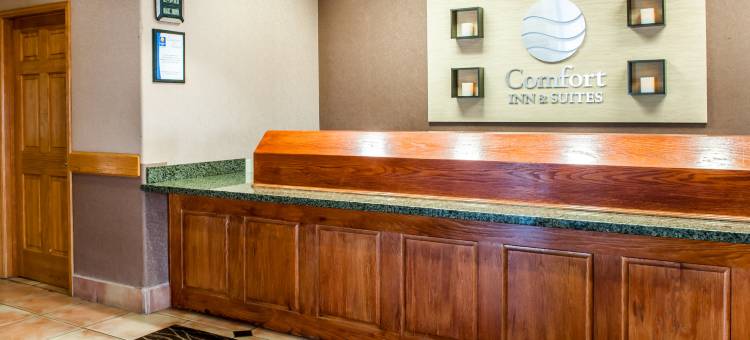 舒适套房酒店(Comfort Inn & Suites)图片