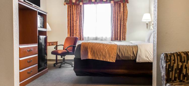 舒适套房酒店(Comfort Inn & Suites)图片