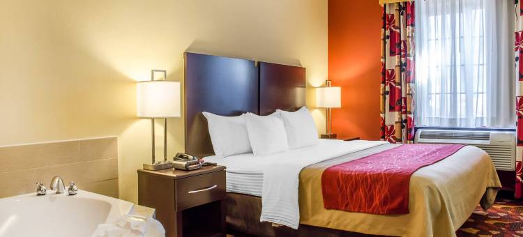 新坎伯兰哈里斯堡拉昆塔温德姆套房酒店(La Quinta Inn & Suites by Wyndham New Cumberland-Harrisburg)图片