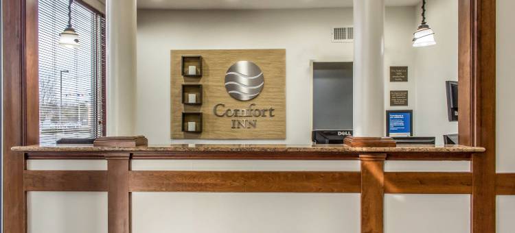 梅德福长岛舒适酒店(Comfort Inn Medford-Long Island)图片