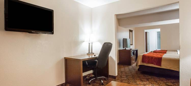 纳什维尔市中心舒适酒店-音乐城中心(Comfort Inn Downtown Nashville - Music City Center)图片