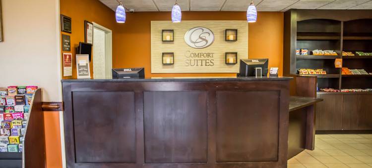 舒适套房-近勒吉恩营(Comfort Suites Near Camp Lejeune)图片