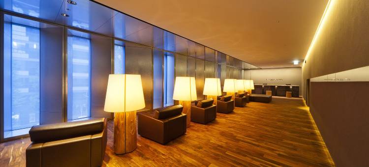 鹿儿岛雷姆酒店(Remm Kagoshima)图片