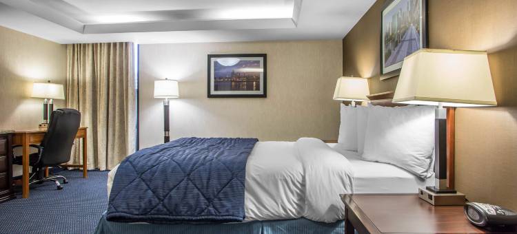 芝加哥绍姆堡品质酒店-靠近购物中心(Quality Inn Schaumburg - Chicago Near the Mall)图片