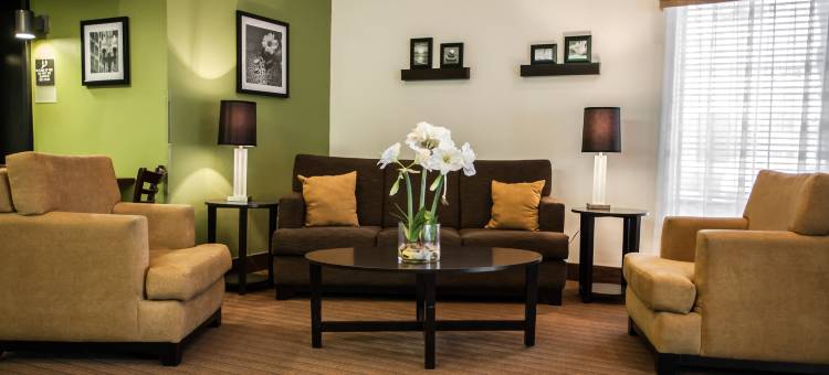 梅泰里舒眠套房旅馆(Sleep Inn & Suites)图片