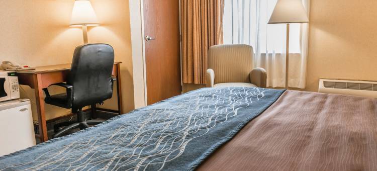 罗德威酒店 默瑟 I-80(Rodeway Inn)图片