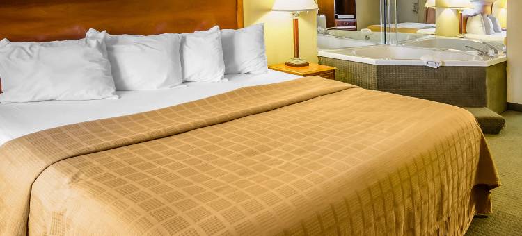 凯艺酒店(Quality Inn)图片