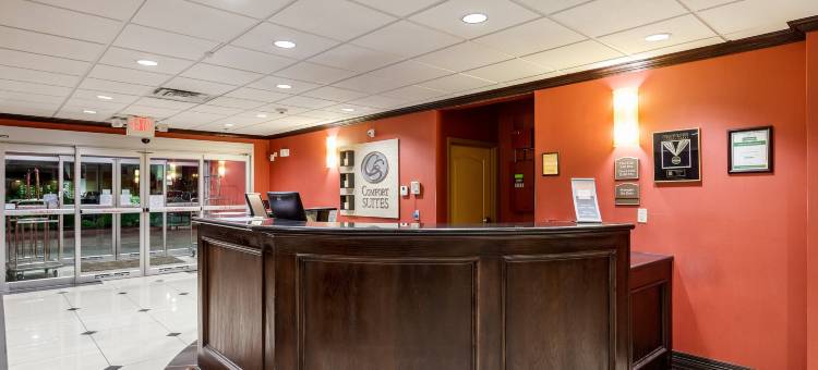 普莱诺-北达拉斯舒适全套房酒店(Comfort Suites Plano - Dallas North)图片