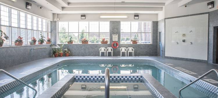 舒适酒店-伦迪巷(Comfort Inn Lundy's Lane)图片