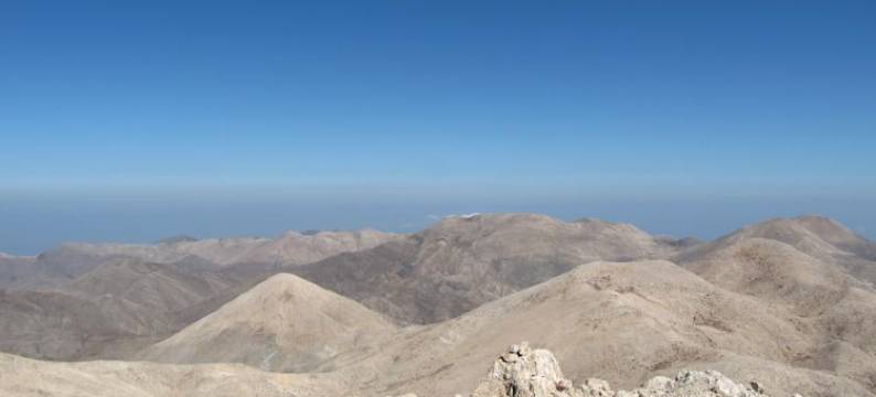 Studios Fokies图片