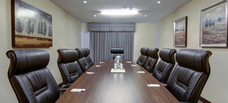 舒适酒店及套房大使桥(Comfort Inn & Suites Ambassador Bridge)图片