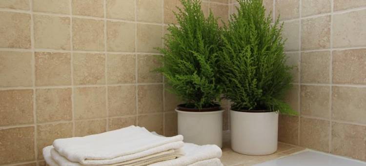 Villa Sofia Boutique Trakai图片