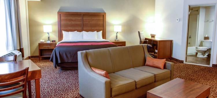 舒适酒店(Comfort Inn)图片