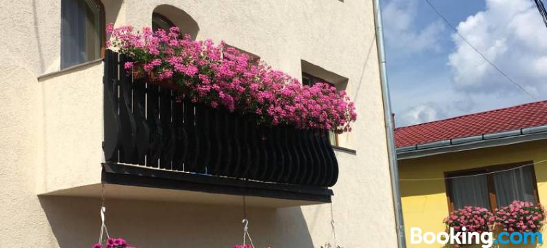 Pensiunea Alecsandra图片