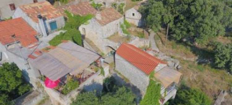 Calypso's Cave the Apartment for Animal Lovers图片