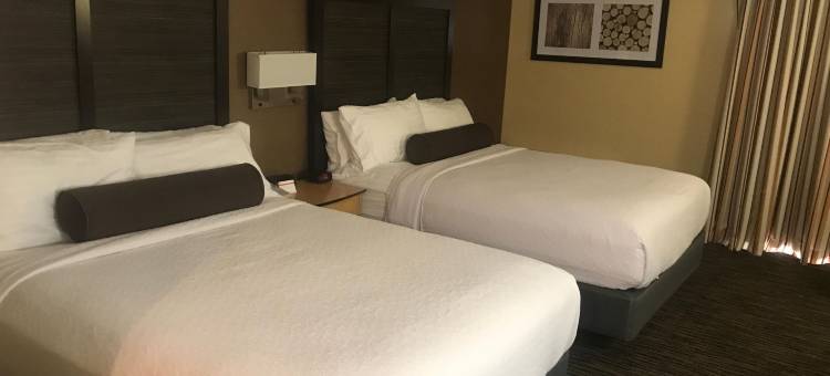 Holiday Inn 都柏林(Holiday Inn Dublin-Pleasanton)图片