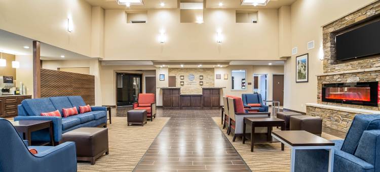 舒适套房酒店-近拉什莫尔山(Comfort Inn & Suites Near Mt Rushmore)图片