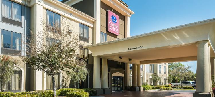 博福特-近帕里斯岛舒适套房酒店(Comfort Suites Near Mcas Beaufort)图片