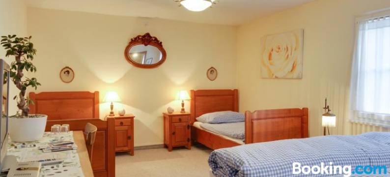 玉斯特利亚克鲁莎莉娃住宿加早餐旅馆(Ustria Crusch Alva)图片