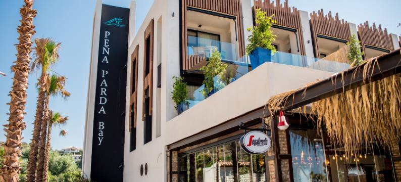 帕达佩尼亚 H. 精品酒店(H Boutique Peña Parda)图片