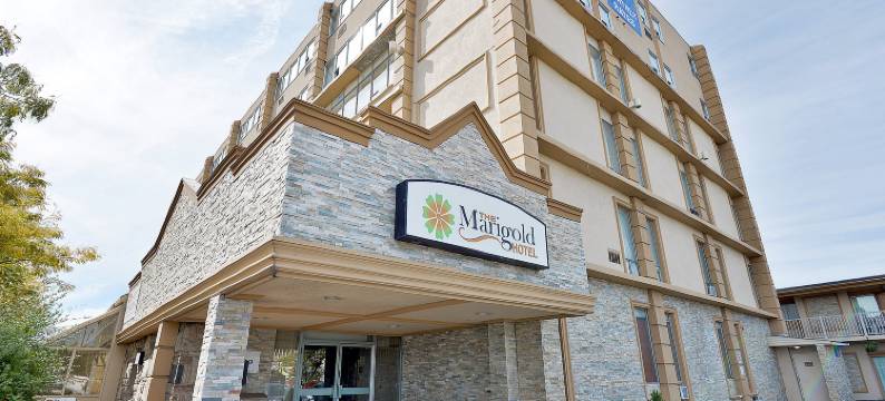 金盏花酒店(The Marigold Hotel)图片