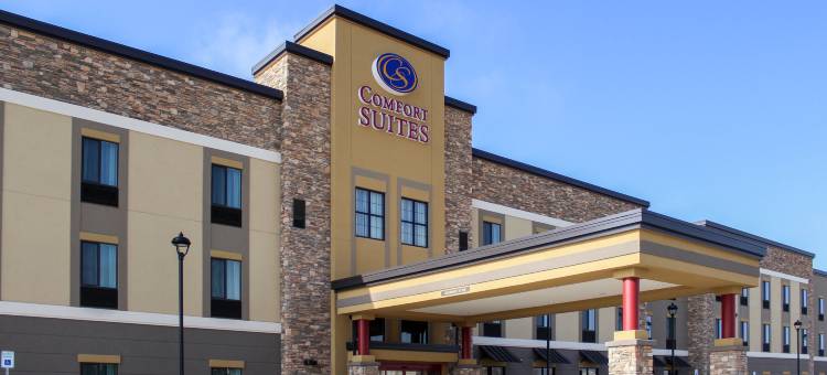 舒适套房酒店-近丹佛安舒茨医学院(Comfort Suites Denver Near Anschutz Medical Campus)图片