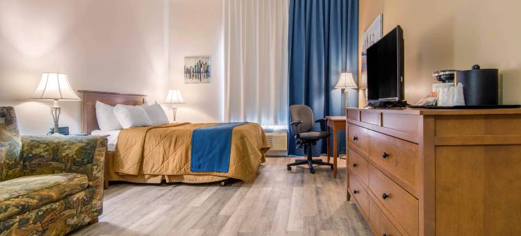 圣杰罗姆舒适酒店(Comfort Inn & Suites)图片